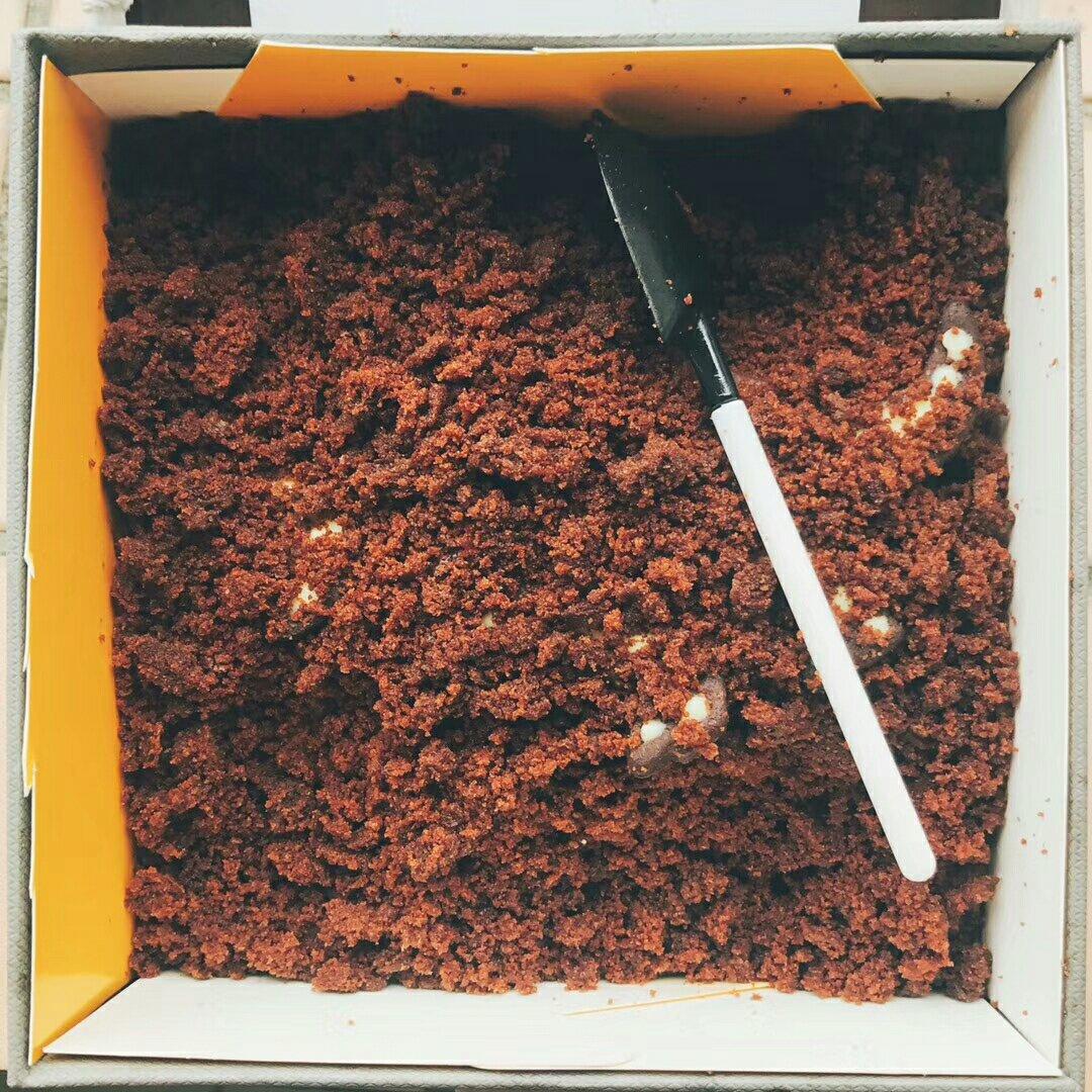 恐龙化石饼干（平整饼干底）