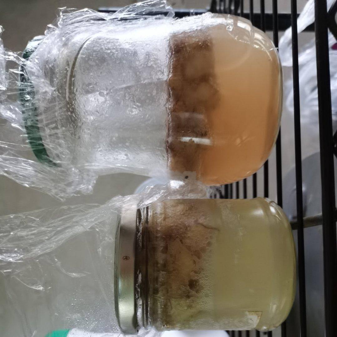 野生酵母之香蕉酵母