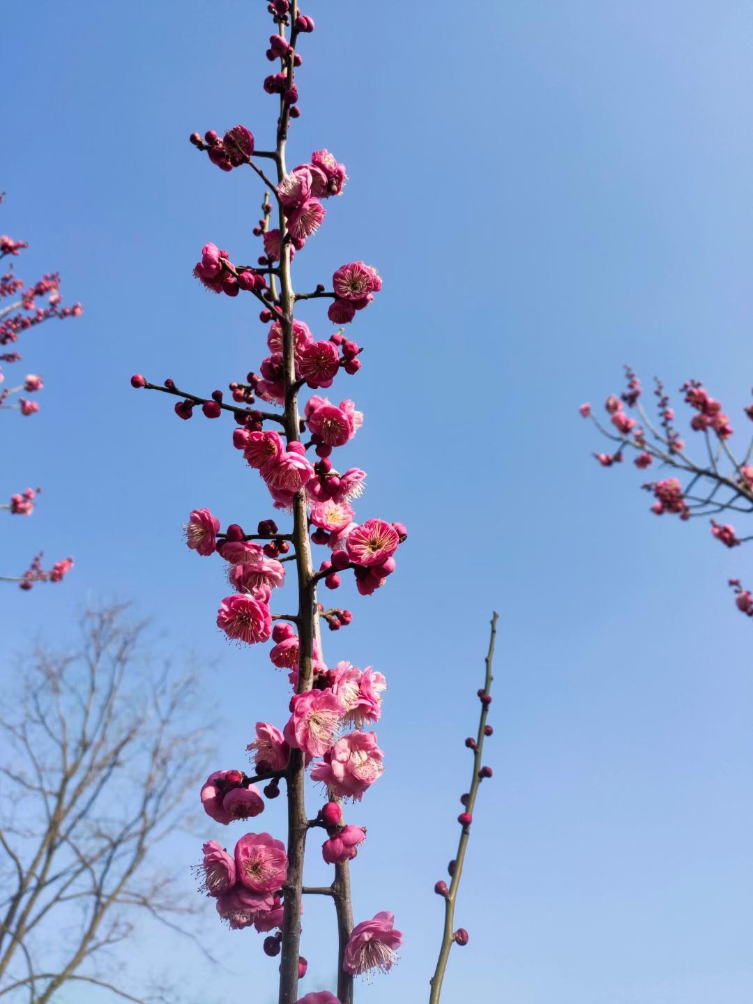 下厨房用户_lury