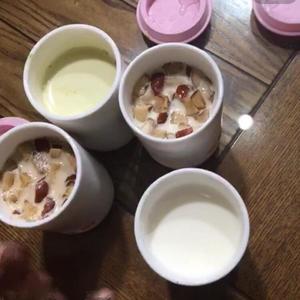酸奶机版自制酸奶的做法 步骤4