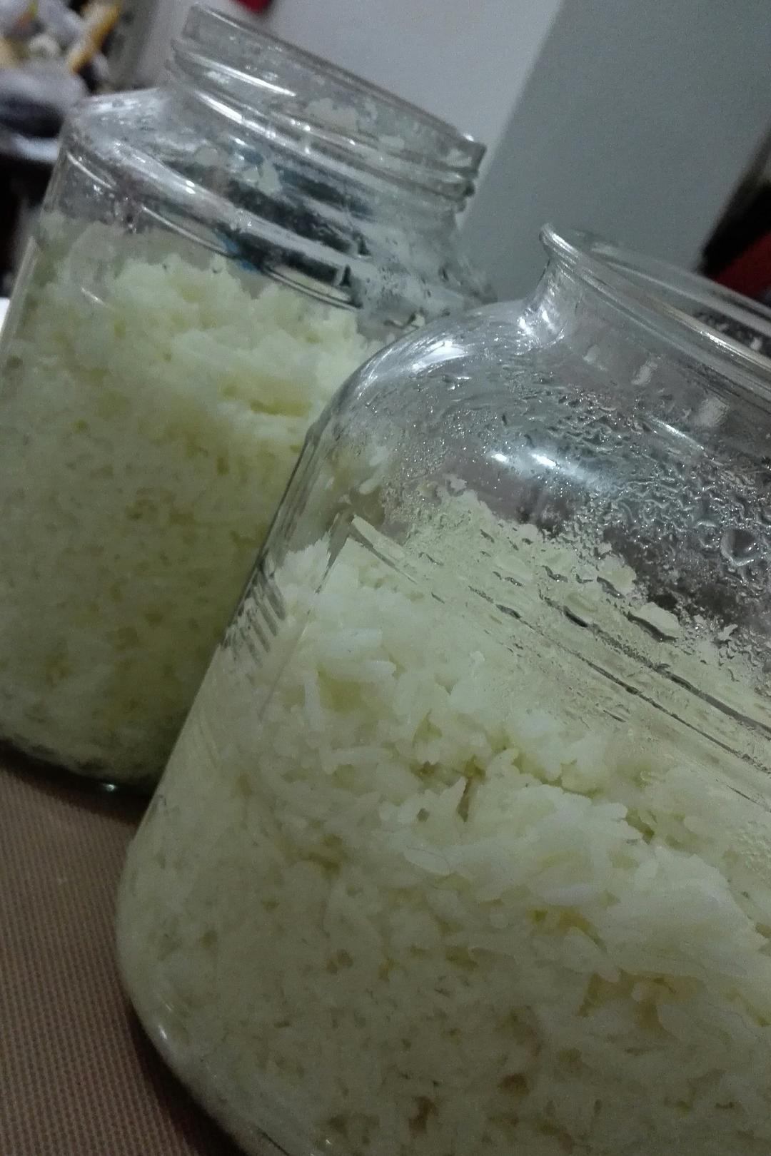 酒酿 (酒酿系列一）
