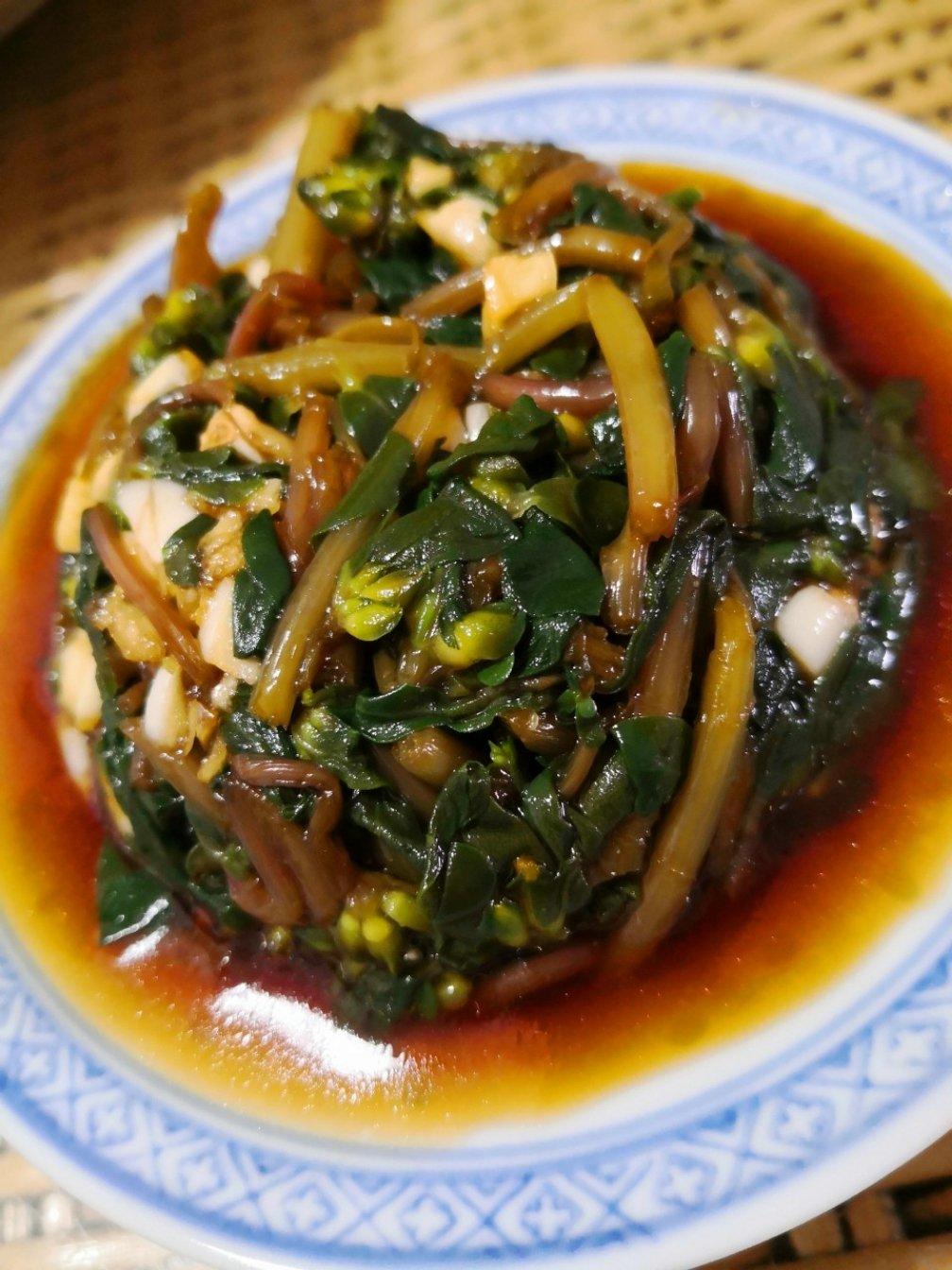 凉拌马马菜（凉拌马齿苋）