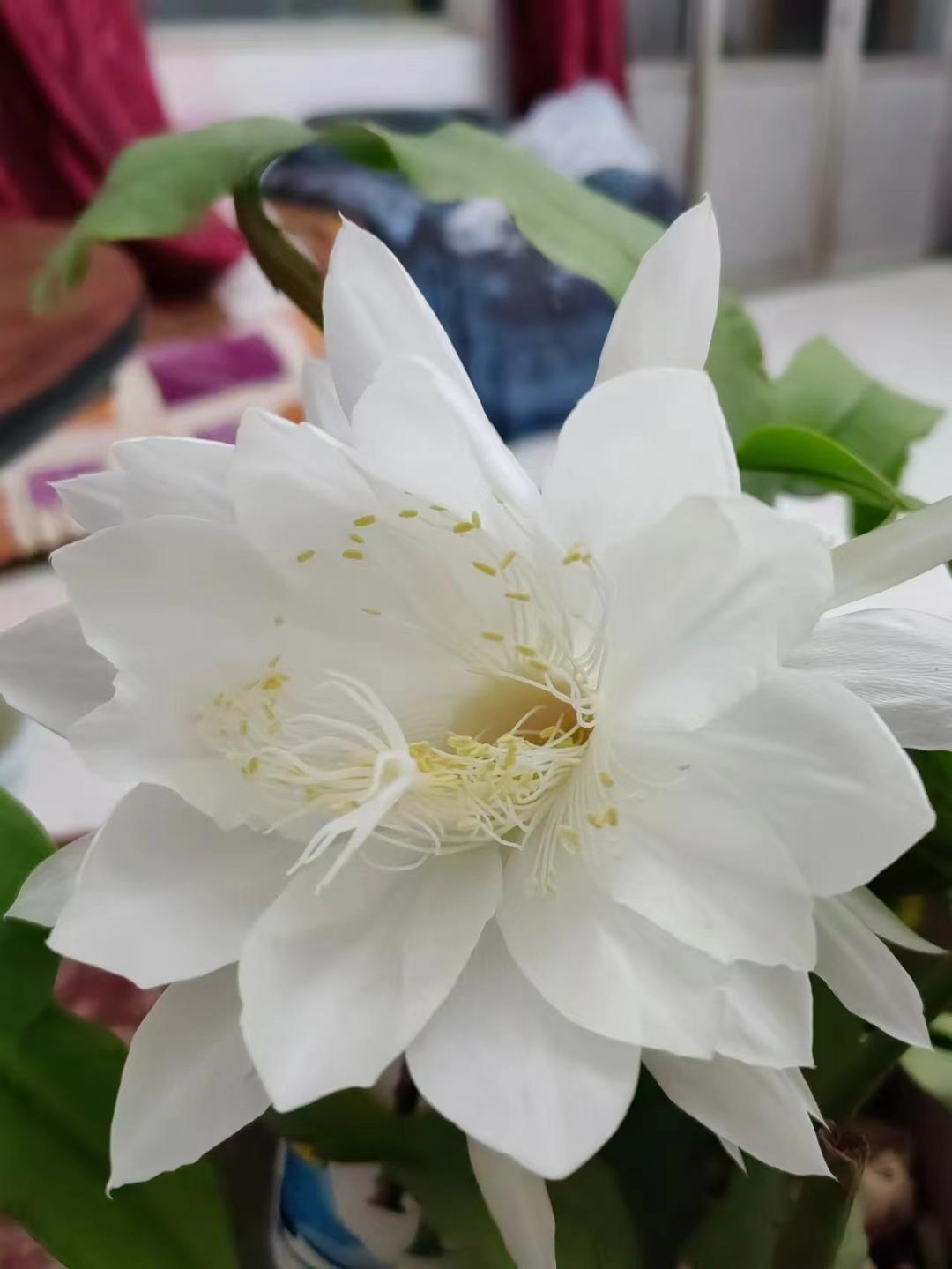 下厨房用户_a8m2h