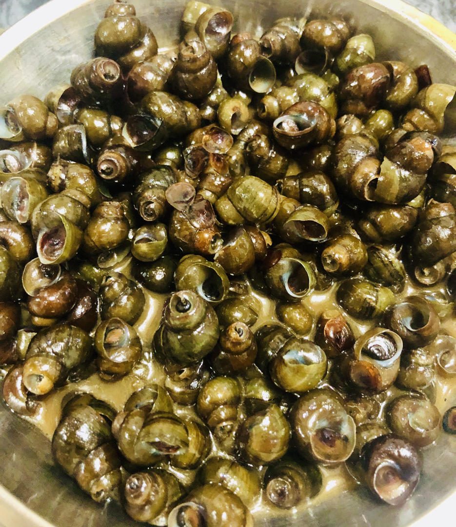 小天鹅用户5508_hqlp做的家常香辣炒田螺(螺蛳)口味唆螺做法