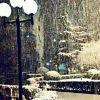 晚安_qir3