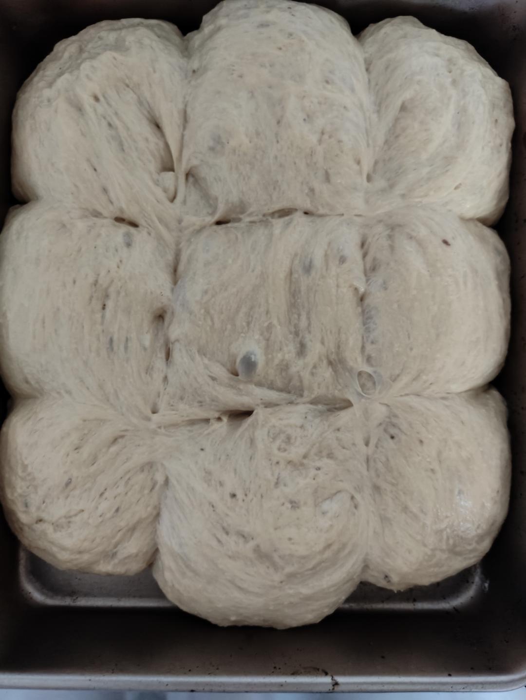 干酵母面包14:   超软特软非常软的米面包