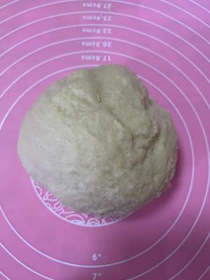 提子核桃面包的做法 步骤3