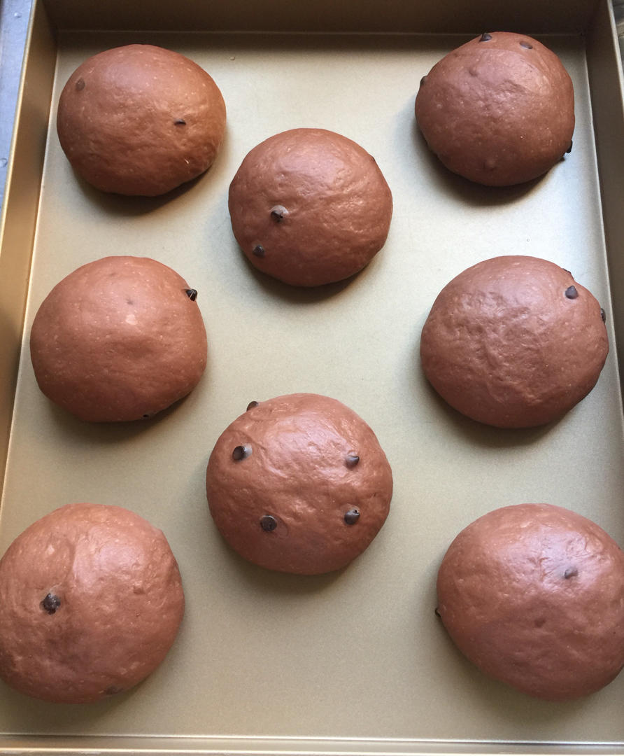 豪华版黑眼豆豆