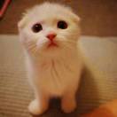 自律的人更幸福