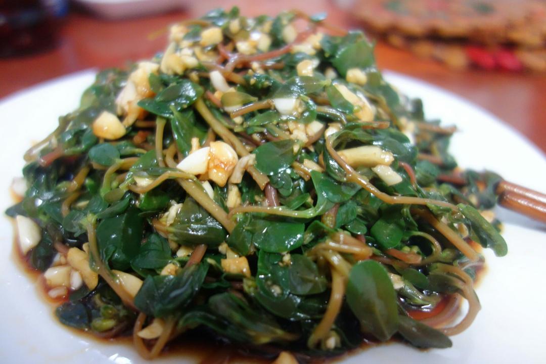 胡爽june616做的凉拌马马菜凉拌马齿苋