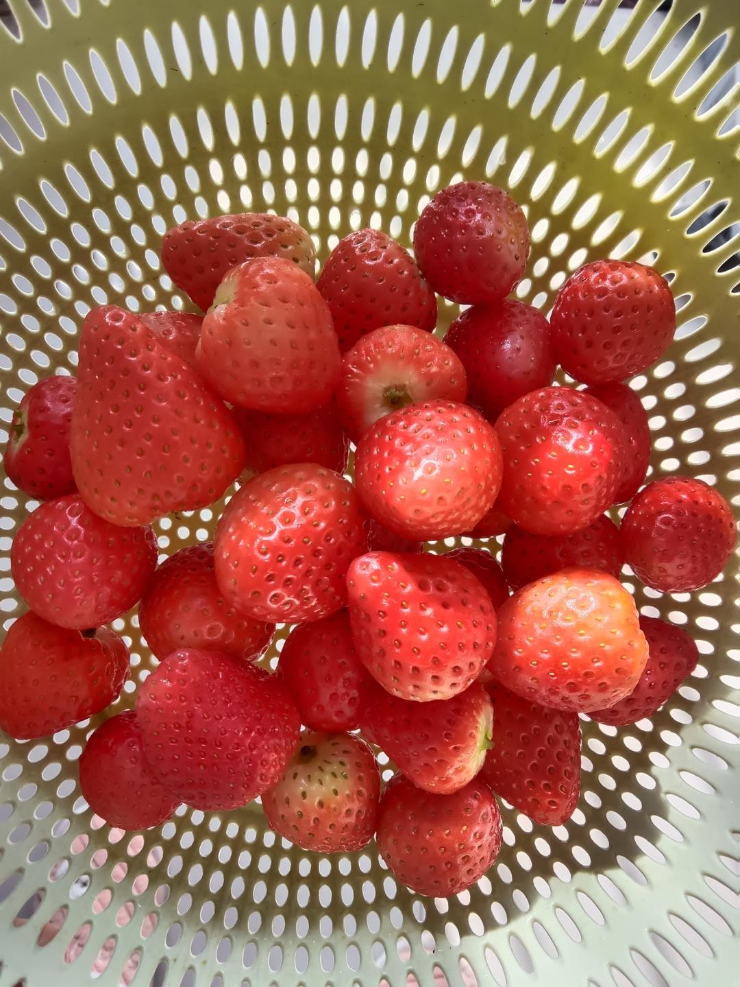 自制草莓酱（孩子爱吃的不得了）