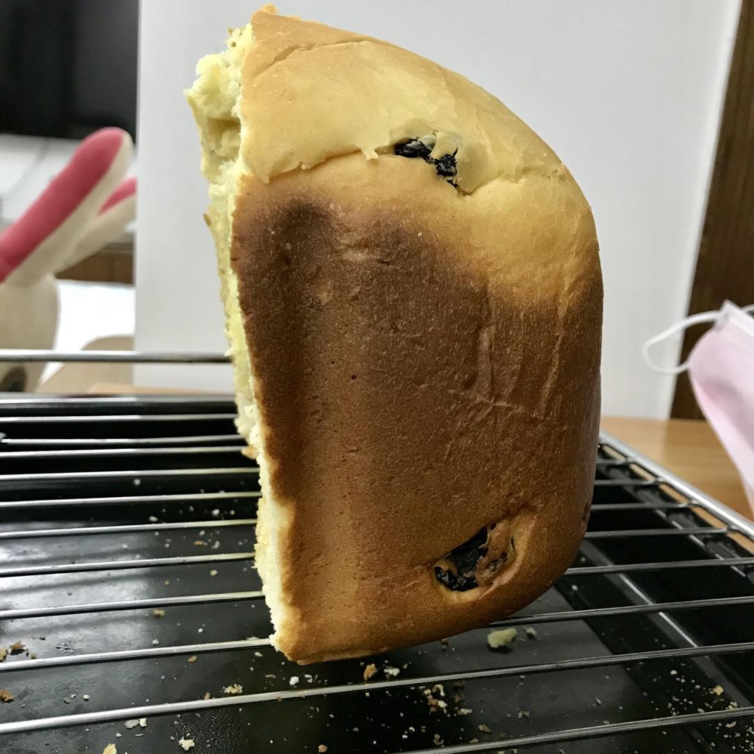 百试不败面包机做面包🍞
