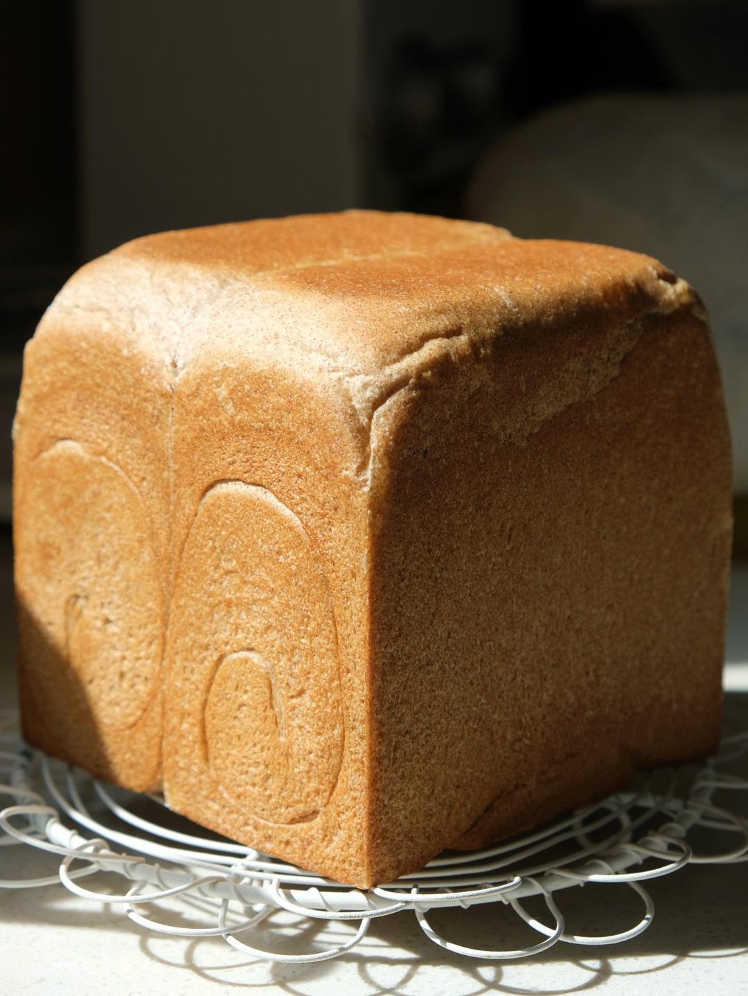 黑麦吐司 70%黑麦 波兰种