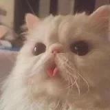 月月要好好吃饭