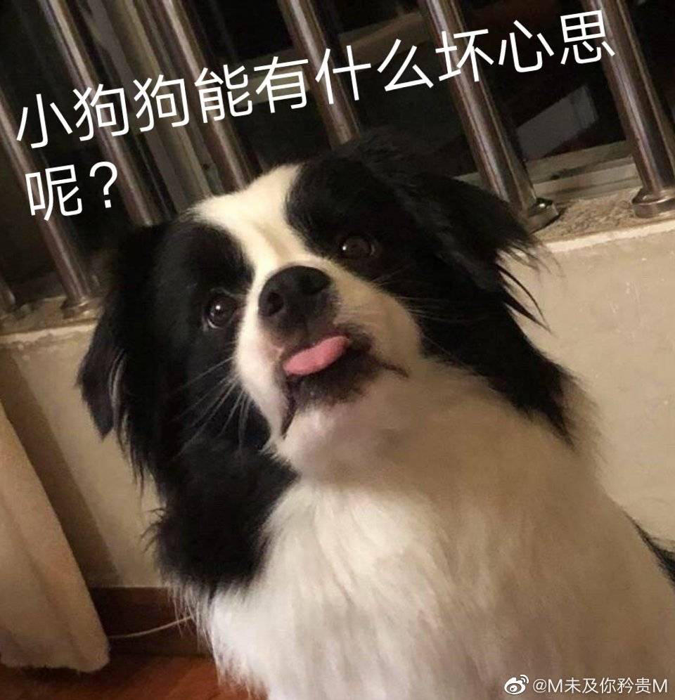 小桃桃q