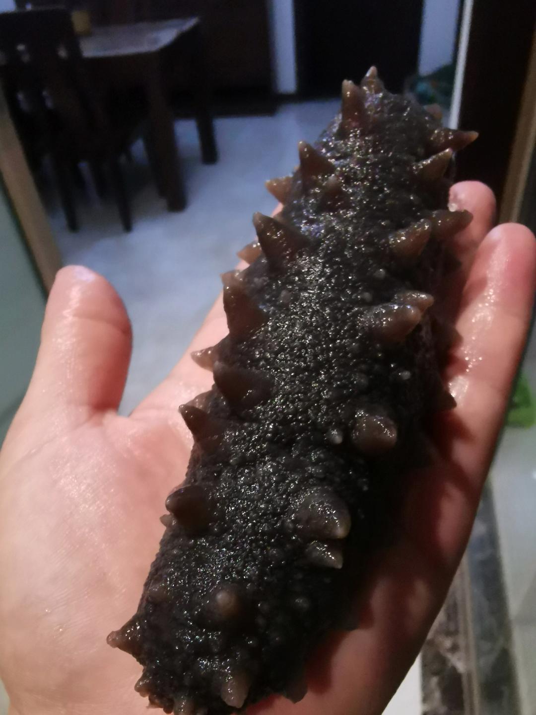 泡发海参的方法