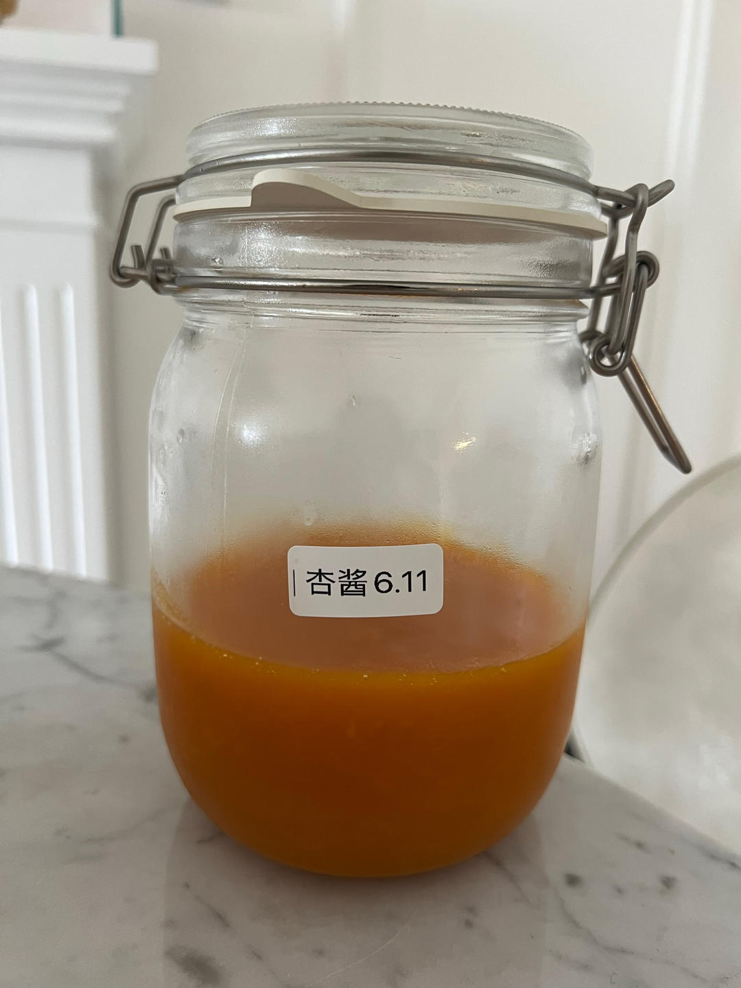 自制无添加的美味杏酱