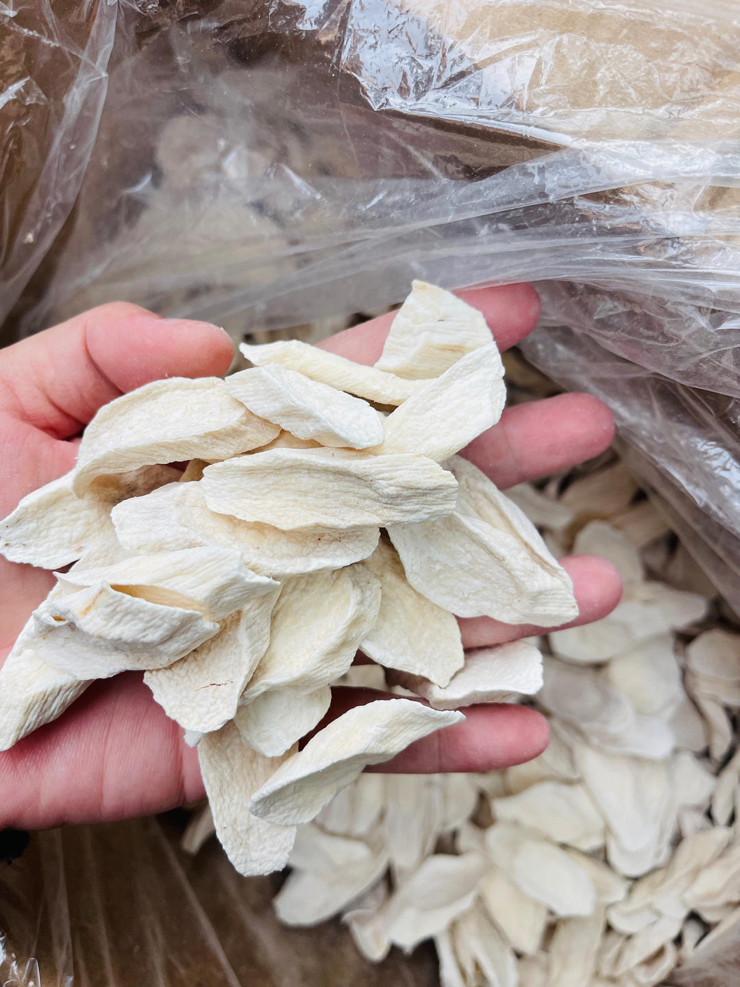 最佳代餐，山药小米暖胃懒人豆浆的做法