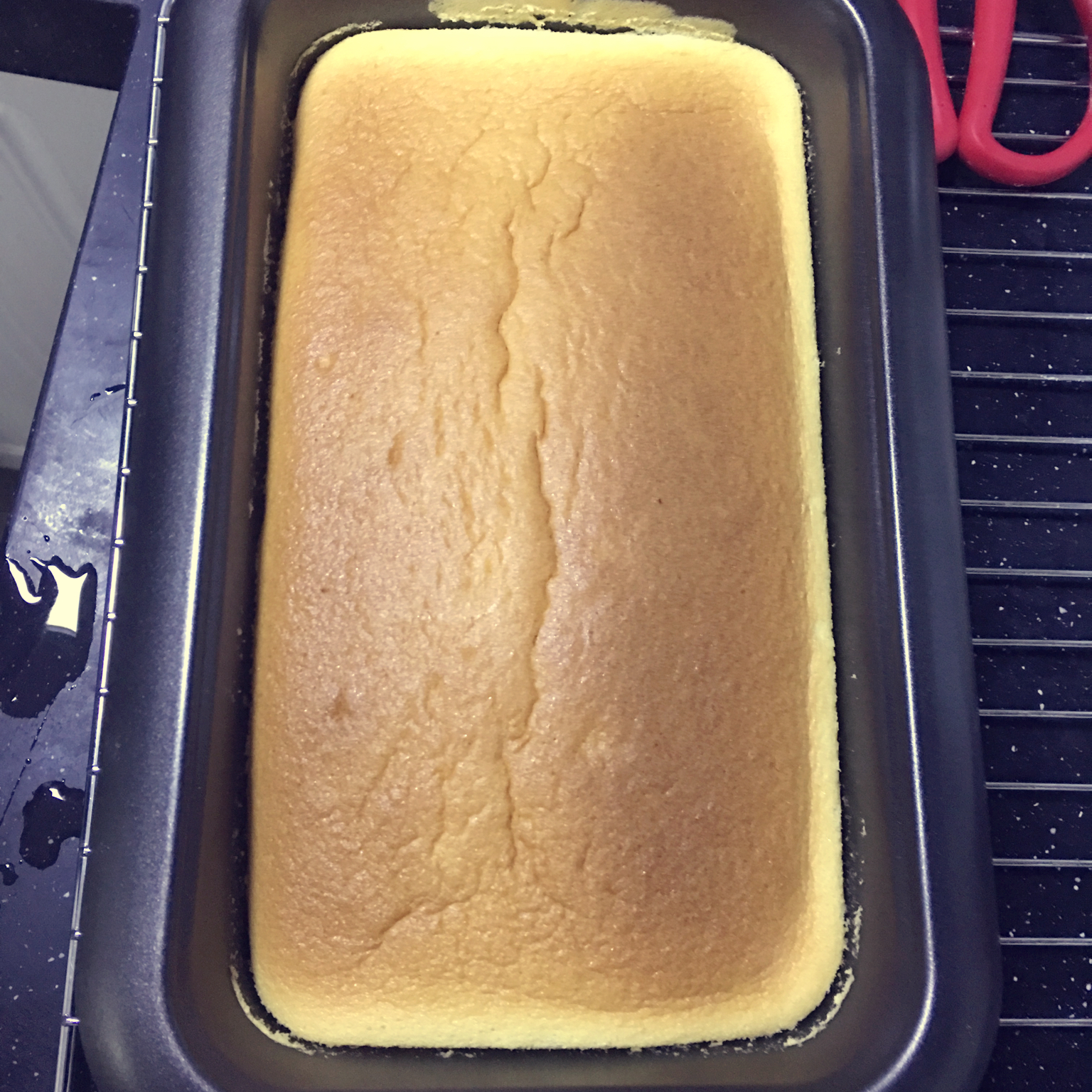 超软的~酸奶蛋糕