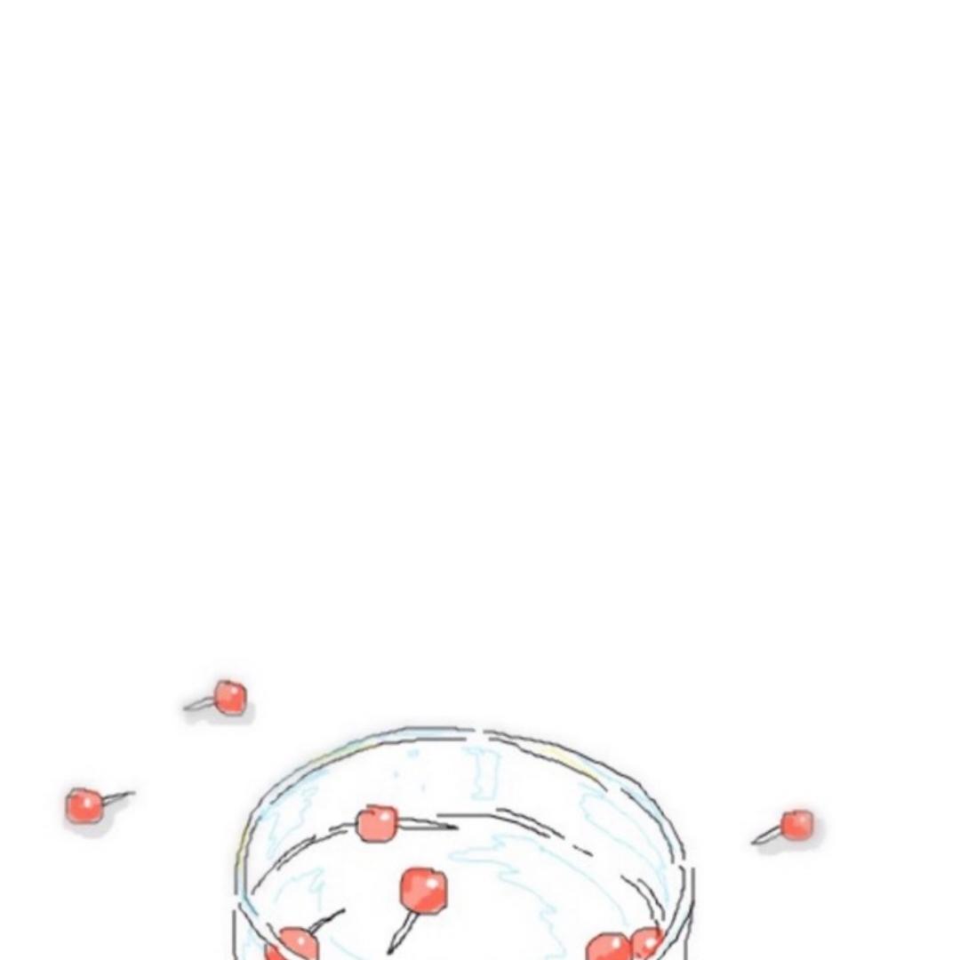 风与月来