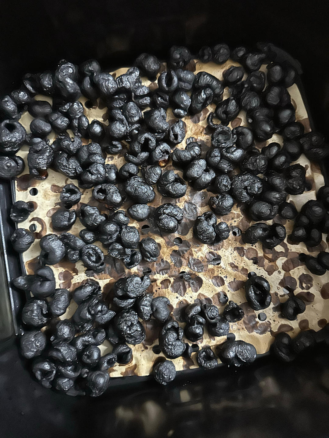 桂圆肉（空气炸锅）