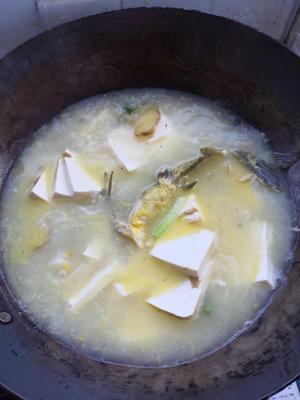 黄格鸭（黄辣丁）炖豆腐的做法 步骤4