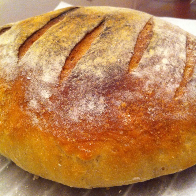【保罗教你做面包】布鲁姆面包 Bloomer