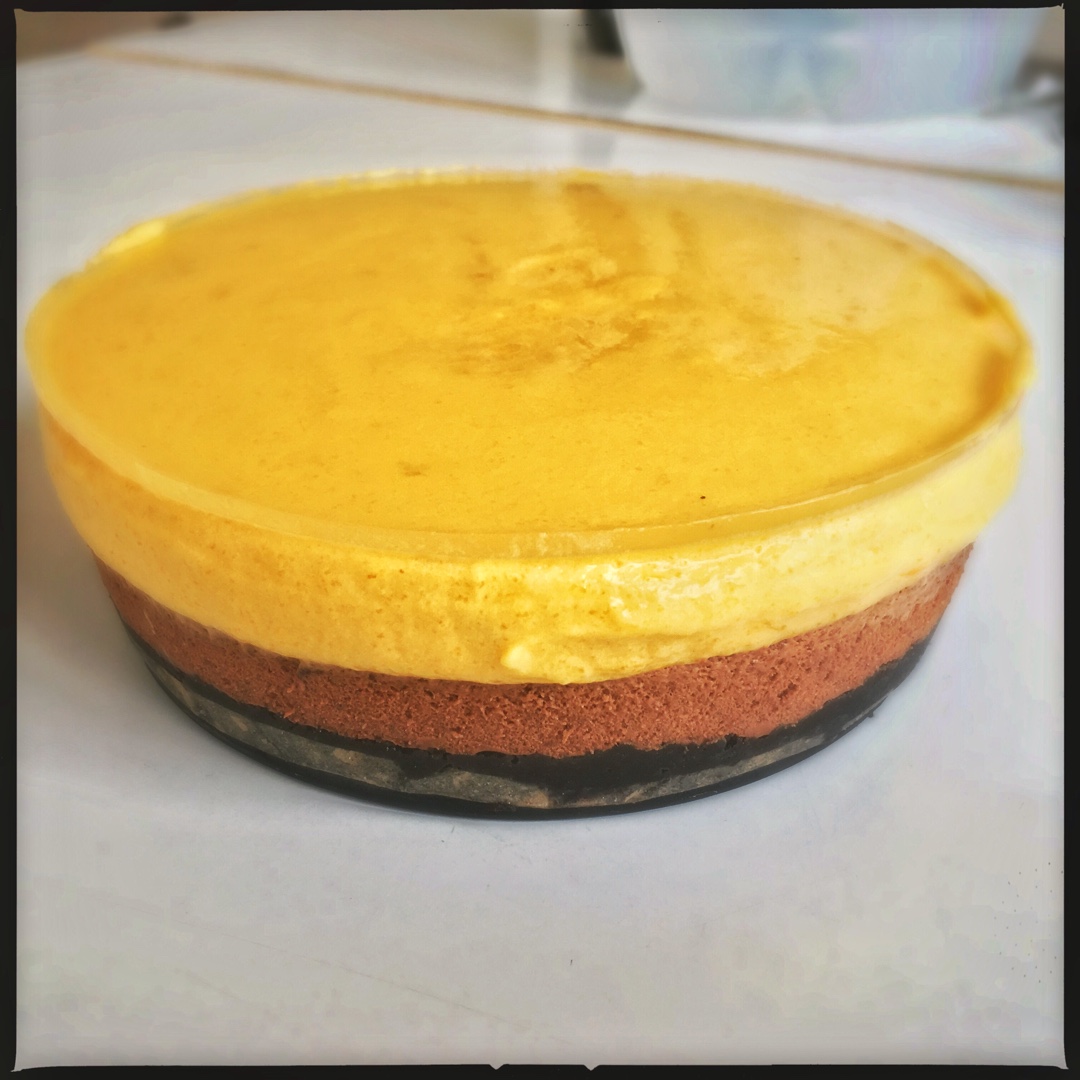 巧克力芒果慕斯