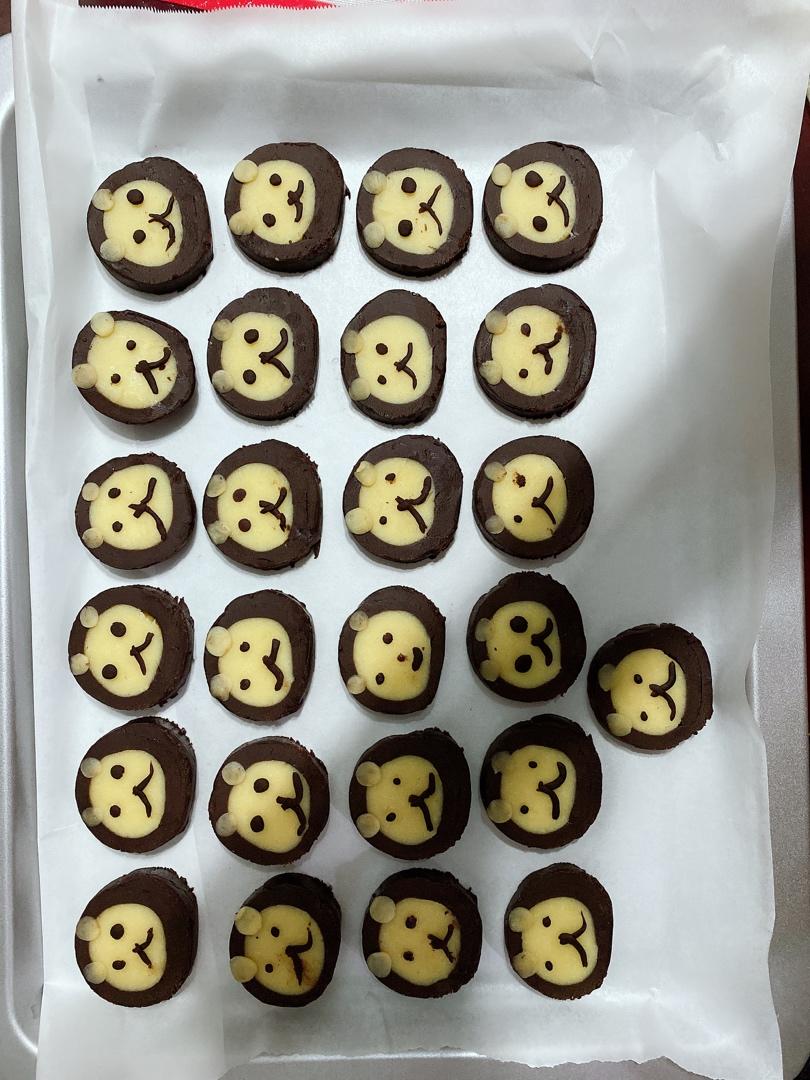 萌哭了的可可狮子饼干