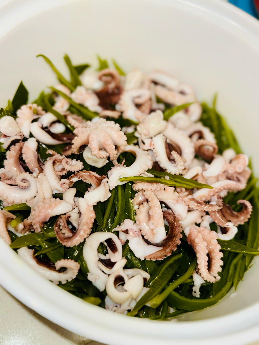 海带丝拌八爪鱼🐙