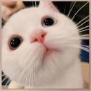 啥都爱吃不挑食