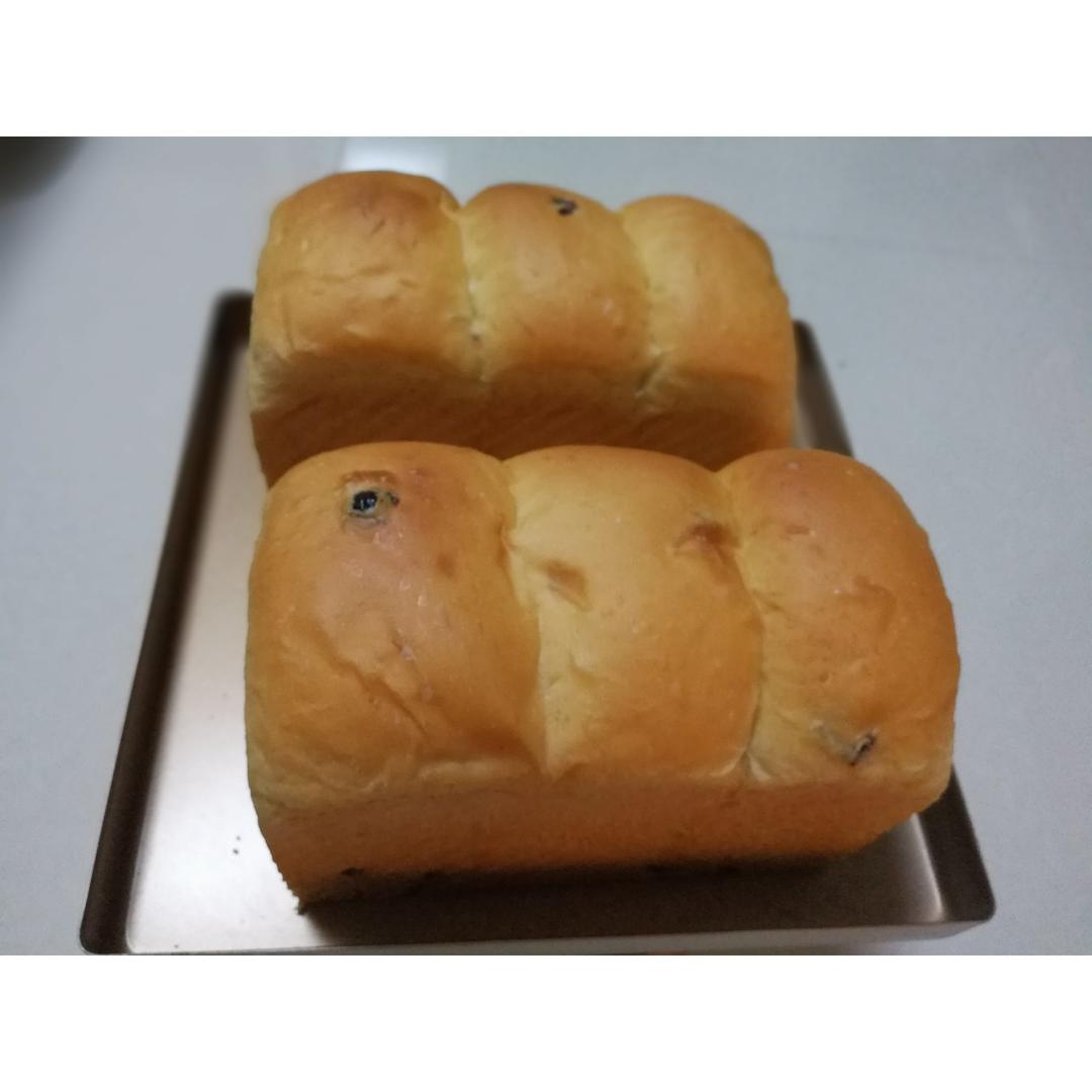 夺命软吐司(๑´ڡ`๑)超软拉丝极速方便的一次发酵吐司