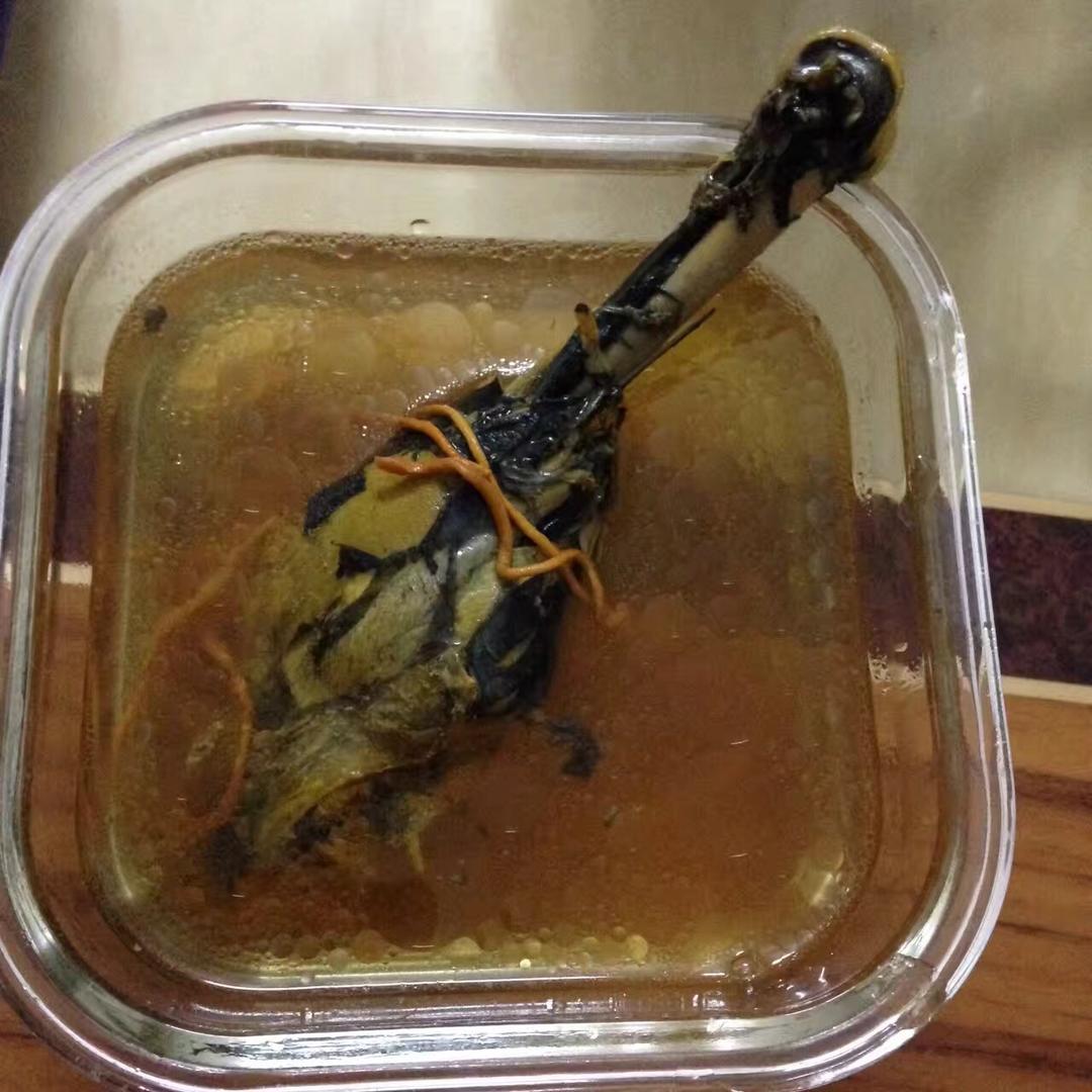 虫草花乌鸡汤