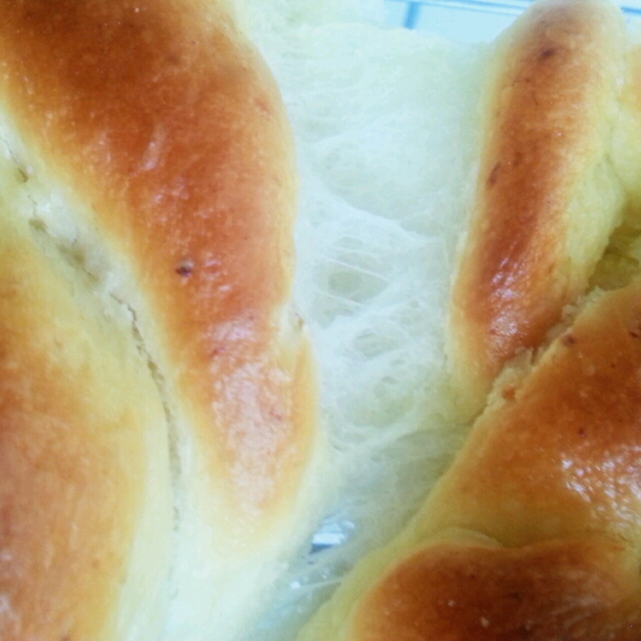 优雅烘焙 2015第84集：香蒜面包结(手工版) 94