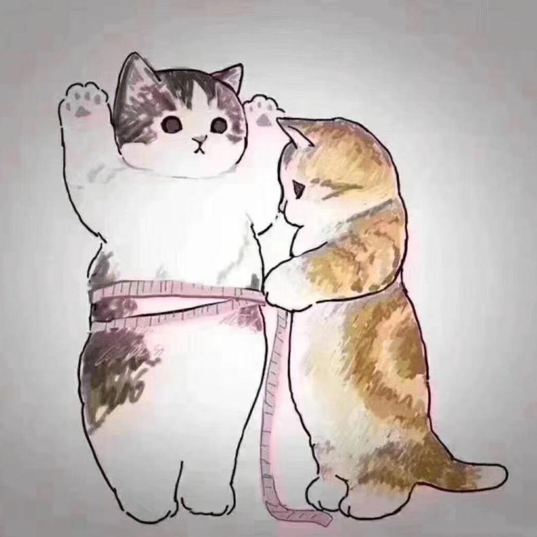 拉链猫