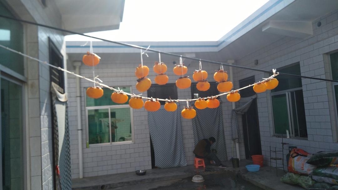 自制柿饼（圆柿饼）