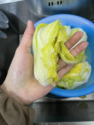 韩国泡菜🇰🇷韩国辣白菜的做法 步骤15