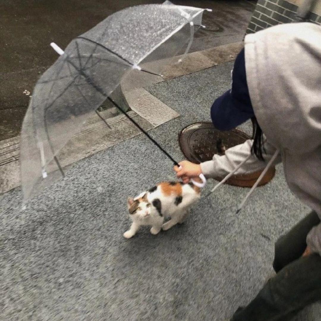 二旬老人
