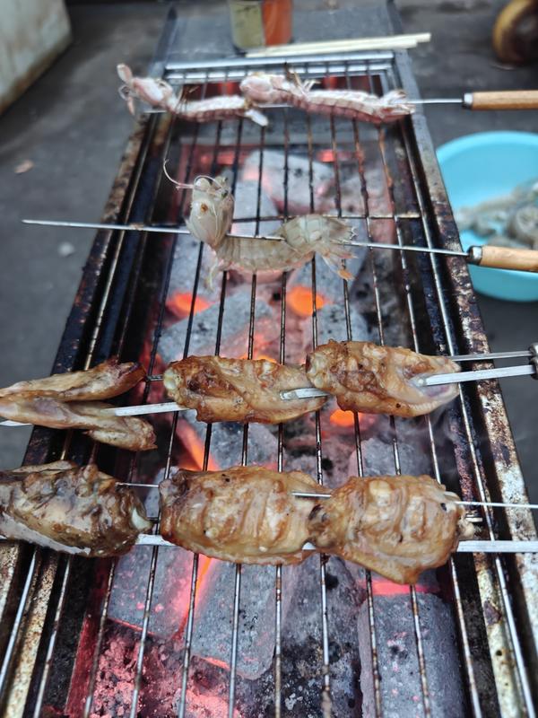 BBQ烧烤腌制排骨/鸡翅