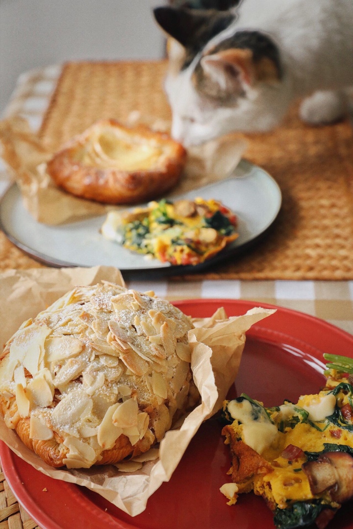 蘑菇菠菜奶酪早餐蛋饼丨健康·烘焙