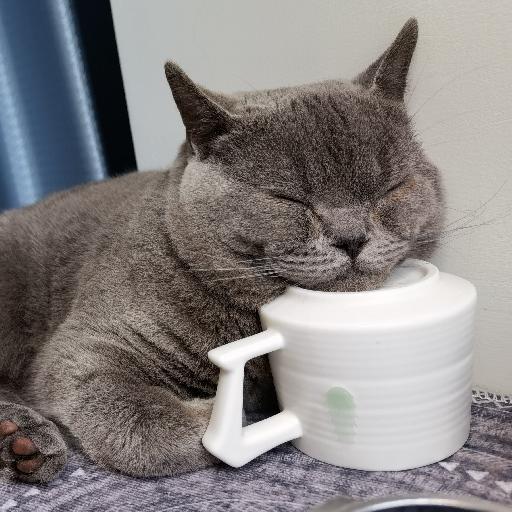 甜品能量站