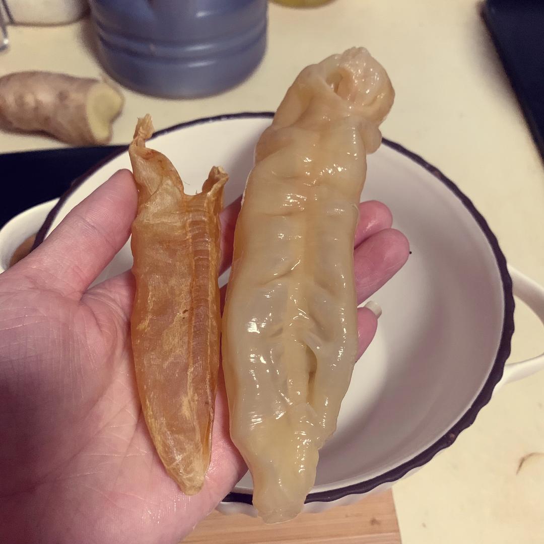 鱼胶泡发