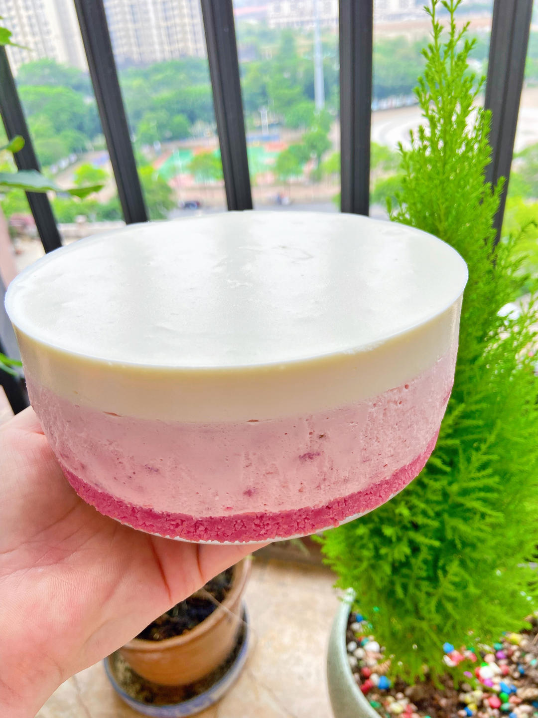 🍓双色草莓酸奶乳酪蛋糕