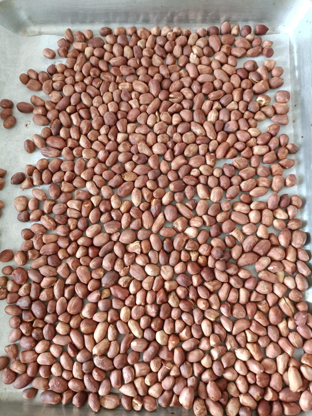 烤花生（原味 烤箱）