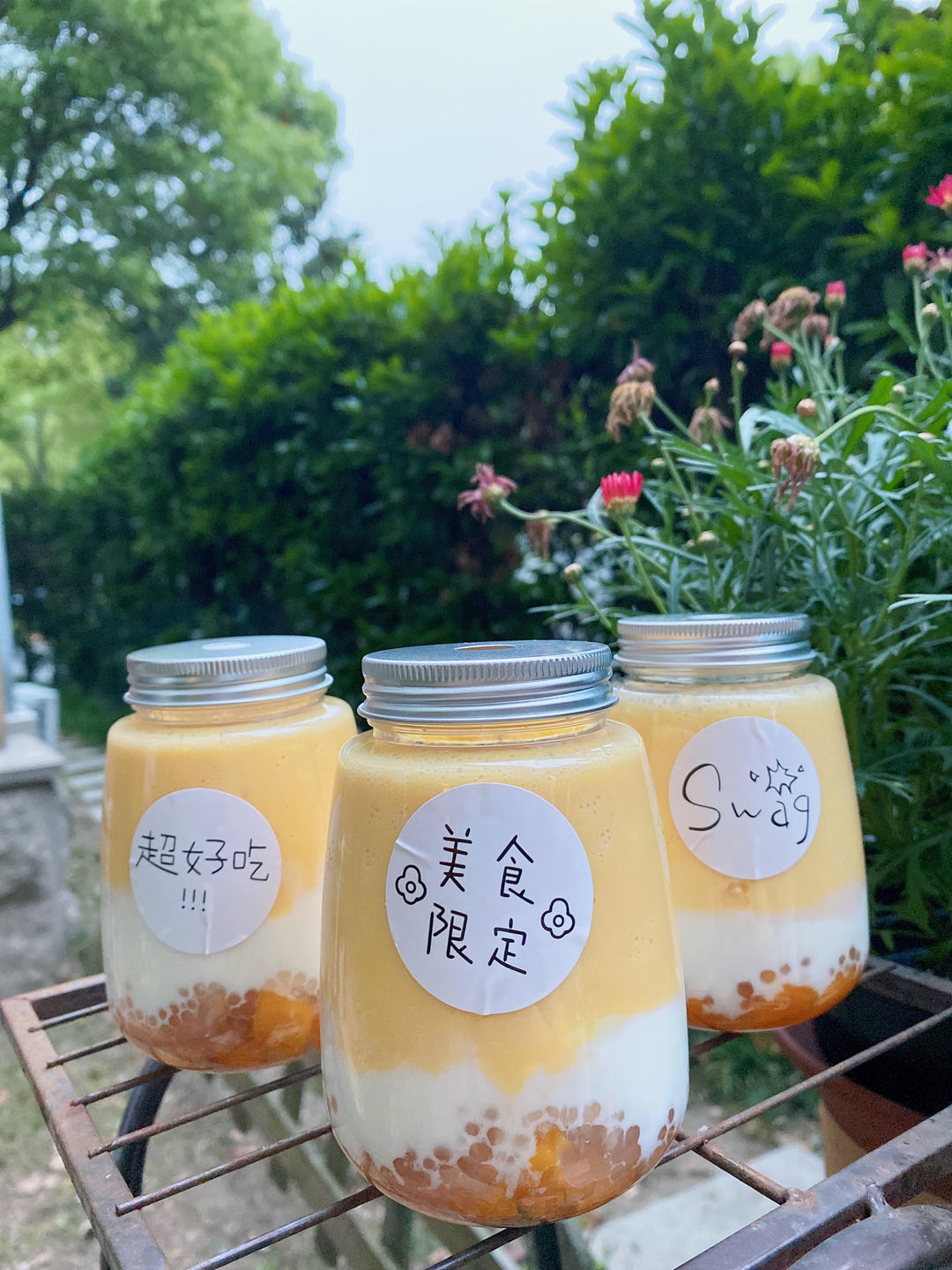 杨枝甘露🥭草莓甘露🍓（酸奶版）