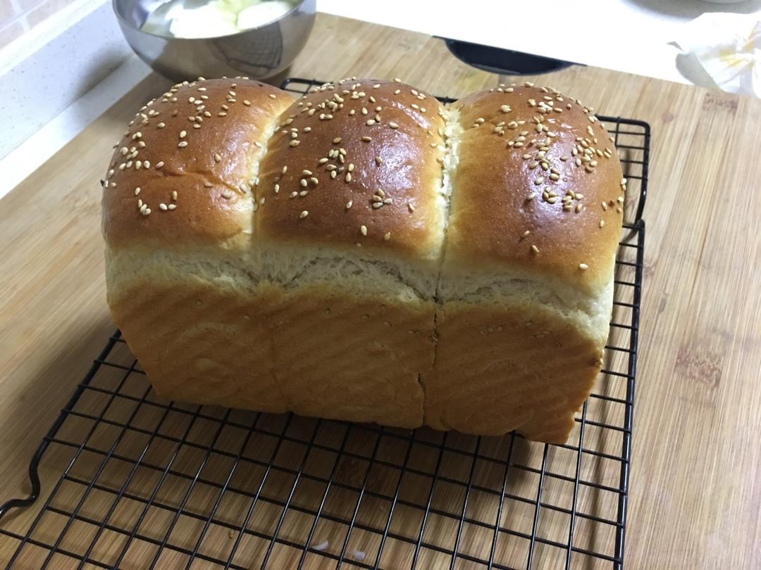 【北海道吐司】体验经典-妃娟100%中种，冷藏冰种的美味