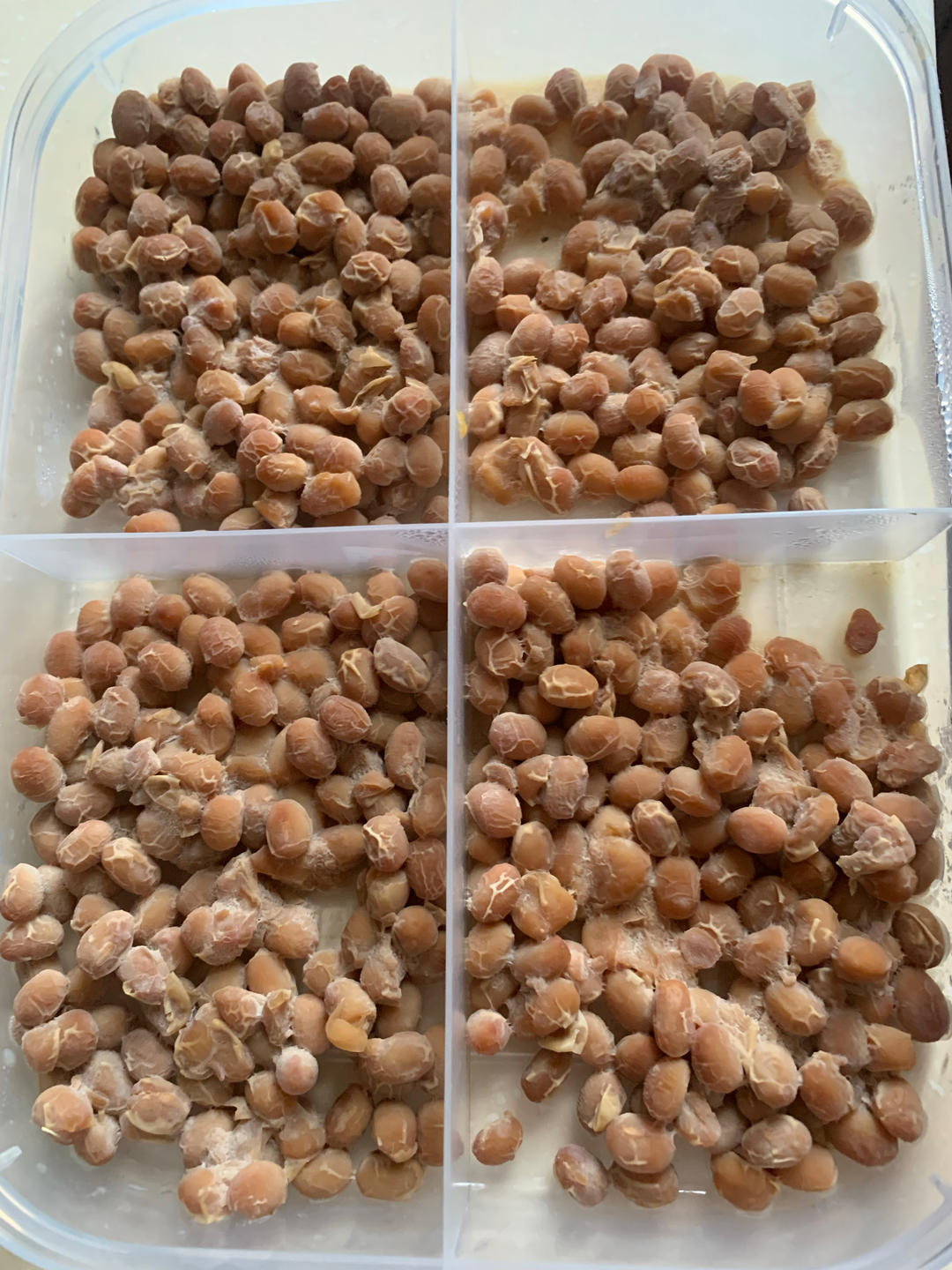 自制纳豆（酸奶机，面包机，烤箱版）