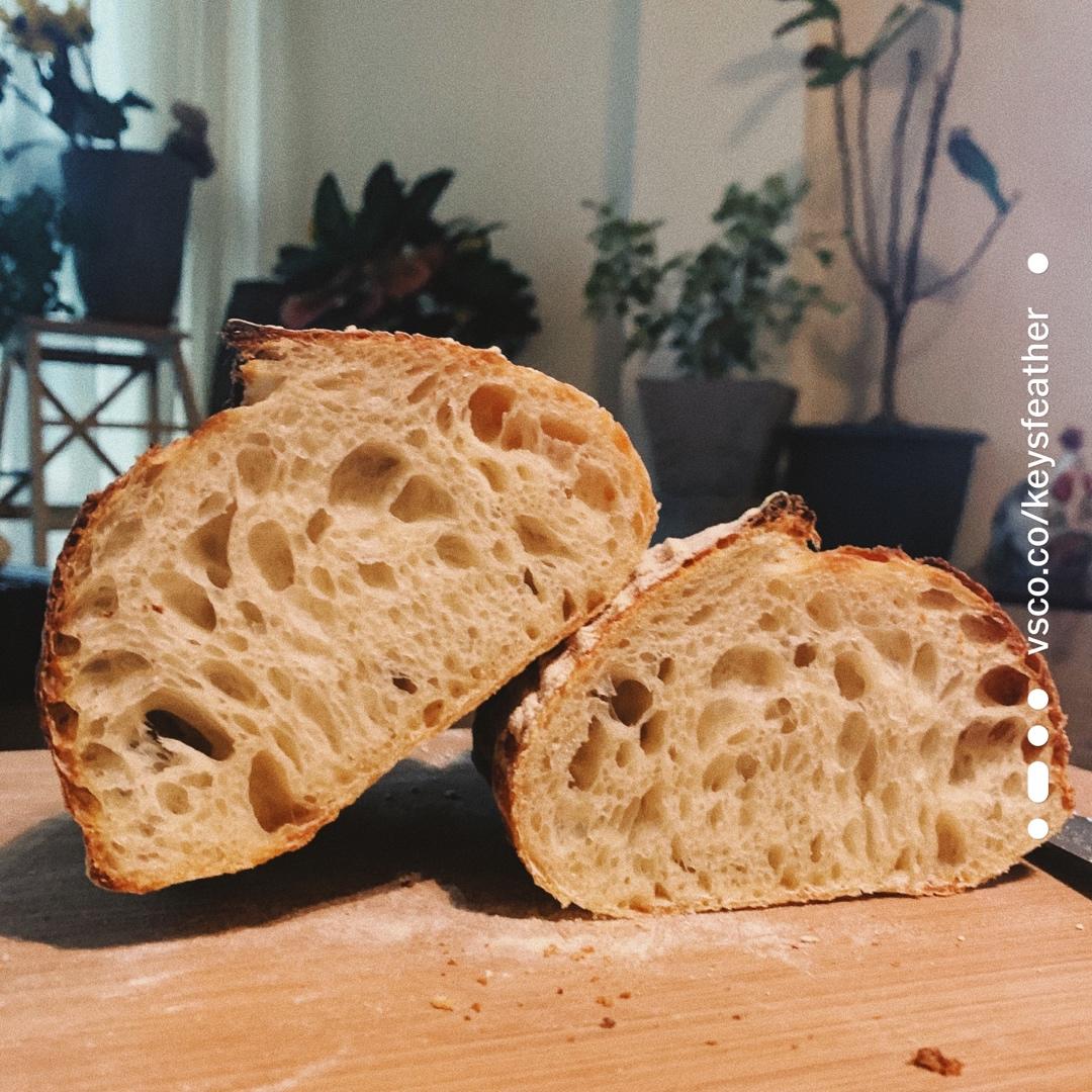 天然酵种乡村欧包/鲁邦种