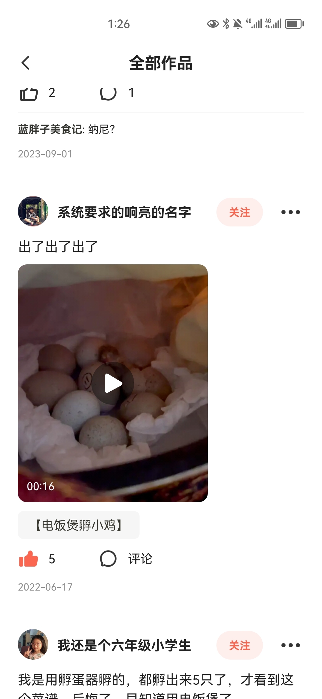 【电饭煲孵小鸡】