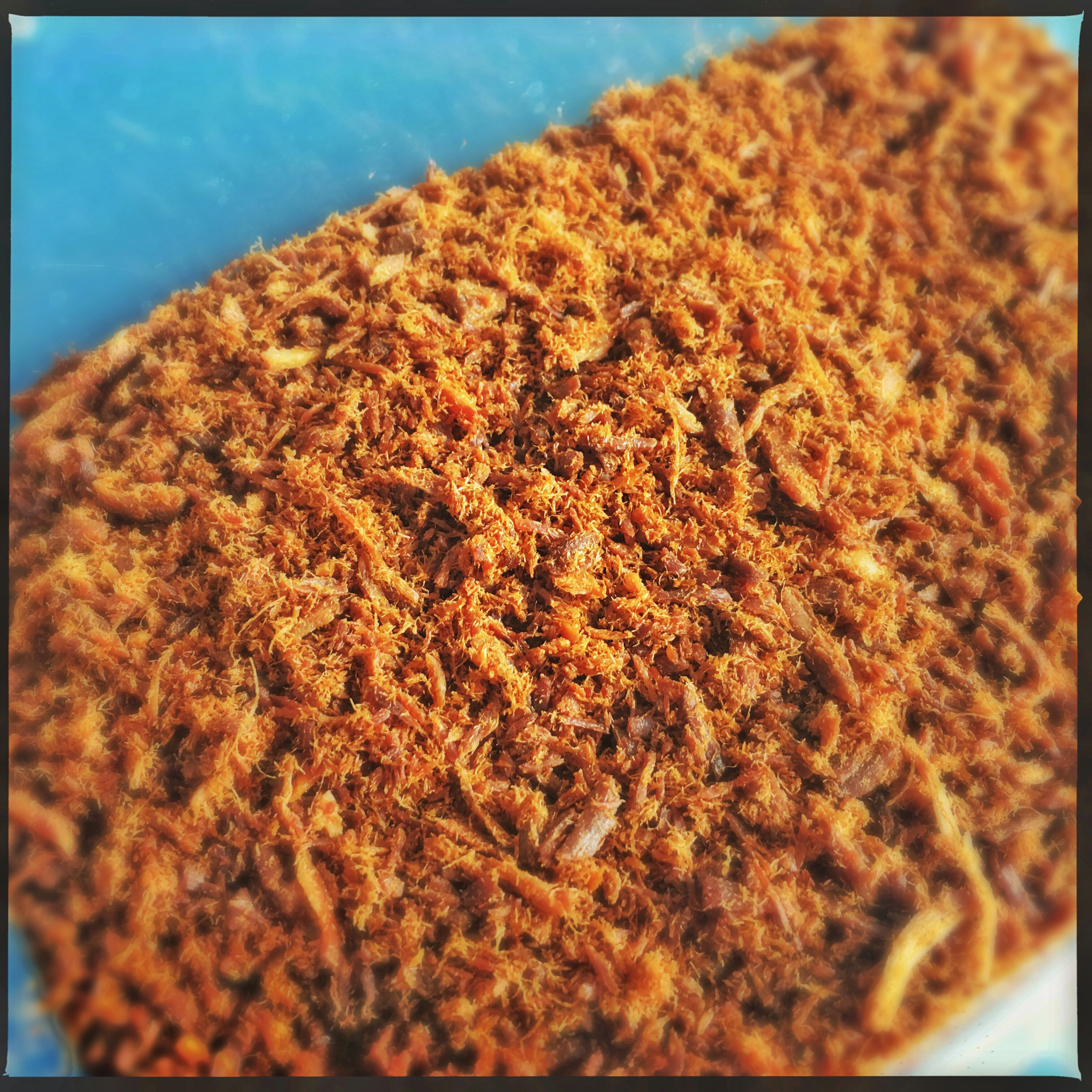 自制肉松全攻略